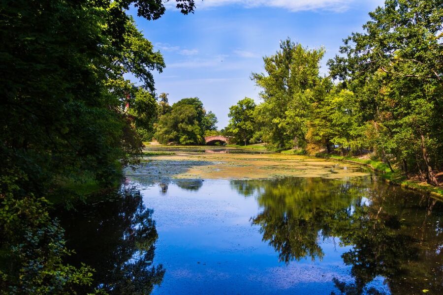 Warsaw Private Wilanow Palace & Garden Tour - The value of the $64 price