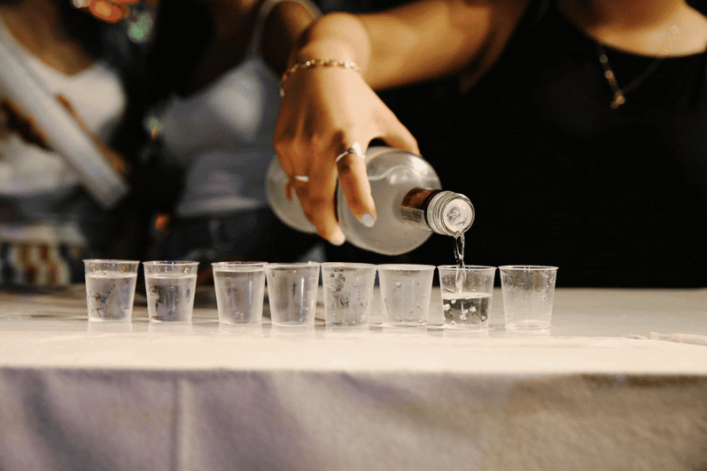 Warsaw: Vodka Tour - Key points to know before booking