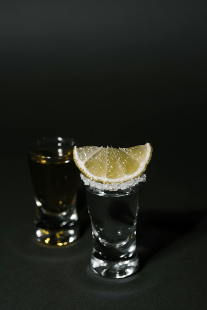 Warsaw: Vodka Tour - A vodka tour that uses Warsaw as part of the lesson