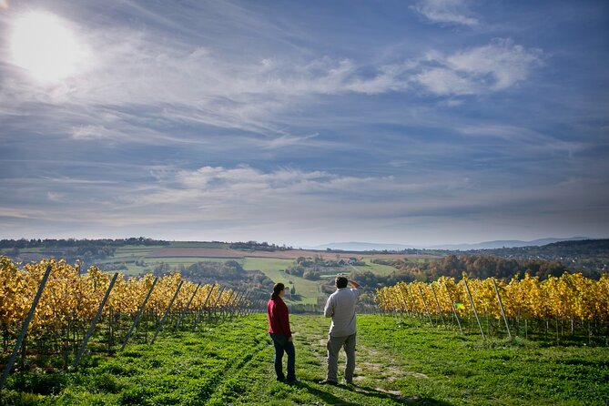Wieliczka Vineyard: Wine tasting with local snacks - A Krakow wine outing in Pawlikowice