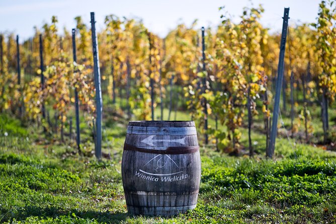 Wieliczka Vineyard: Wine tasting with local snacks - Walking through the vines before the tasting