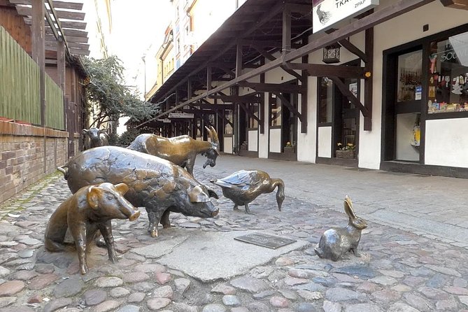 Wroclaw Old Town Private Tour - Jatki and the medieval shopping quarter