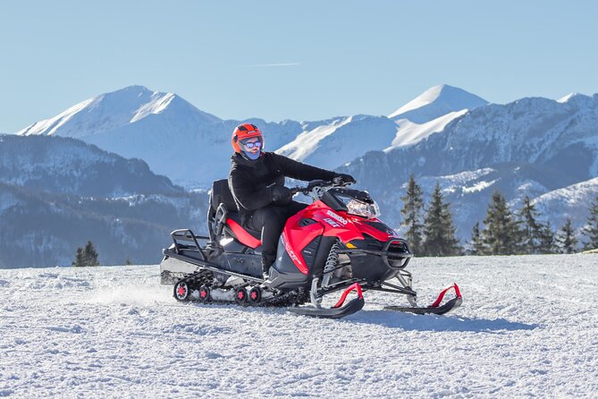 Zakopane: 3 hours Snowmobiles Guided Tour with bonfire and meal - Snowmobile or 4x4 quad, depending on conditions