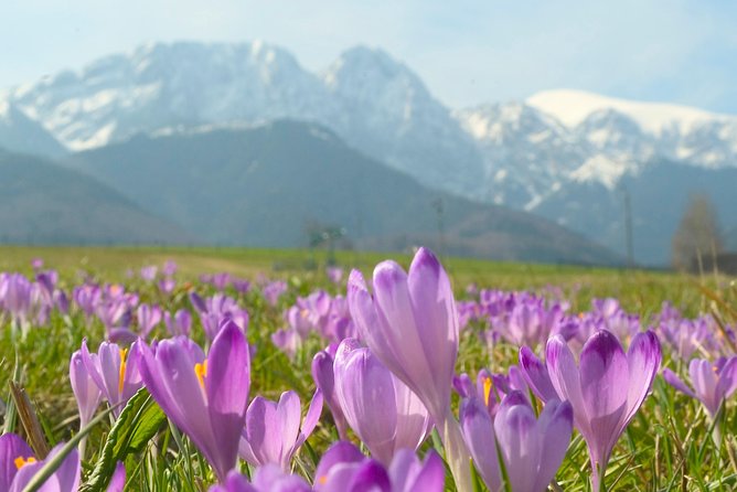 Zakopane and Tatras Mountains Day Tour from Krakow - Zakopane’s wooden architecture and highlander culture