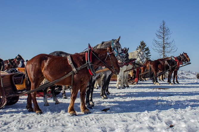 Zakopane Horse-Drawn Rides with Local Guide and Food Tasting - Chocholow and the horse-drawn ride