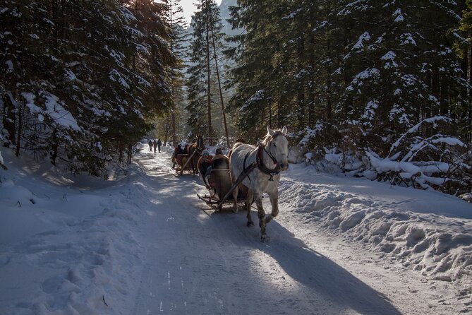 Zakopane Horse-Drawn Rides with Local Guide and Food Tasting - What the three-hour schedule means
