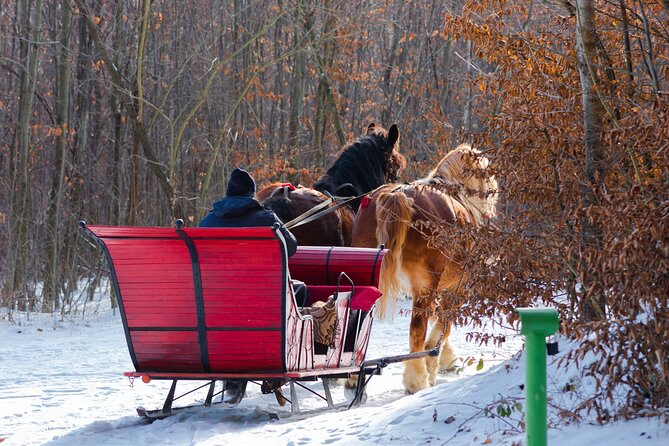 Zakopane Horse-Drawn Rides with Local Guide and Food Tasting - Winter sleigh or warm-weather carriage