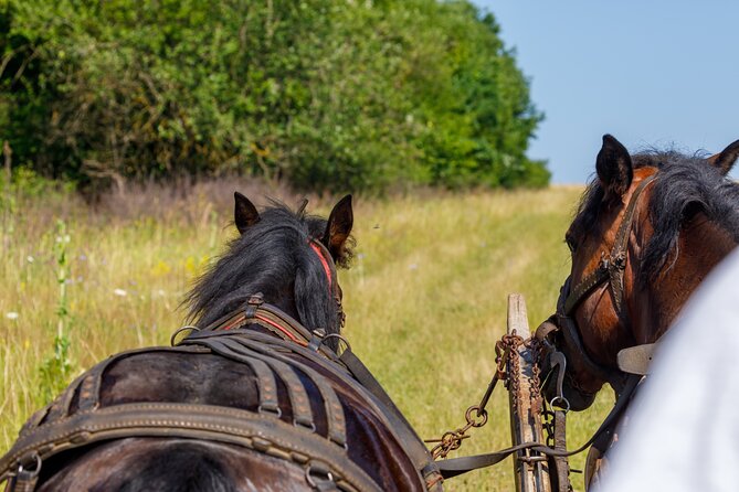 Zakopane Horse-Drawn Rides with Local Guide and Food Tasting - Is the price good value?