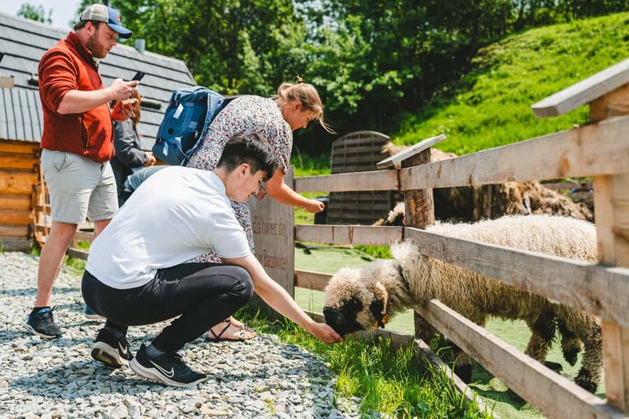 Zakopane & Tatra Mountains from Krakow – Guided Tour - Chochołów: wooden homes, Oscypek, and Highlander flavor