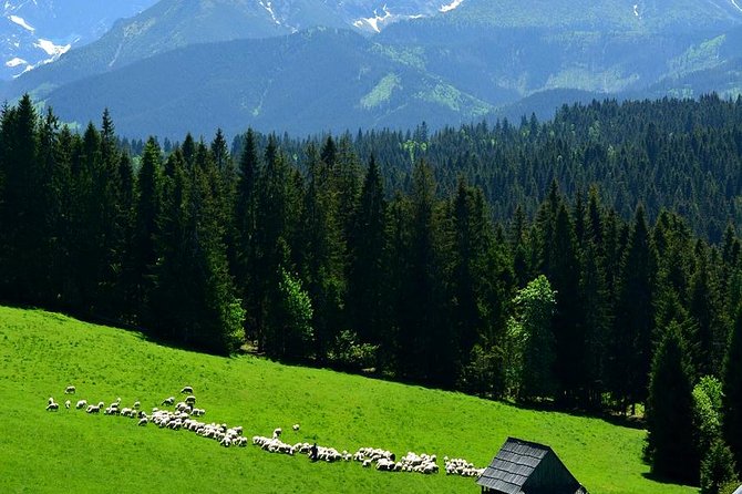 ZAKOPANE & THERMAL SPRINGS, Funicular, Cheese Tasting - Hotel pickup and the long road south