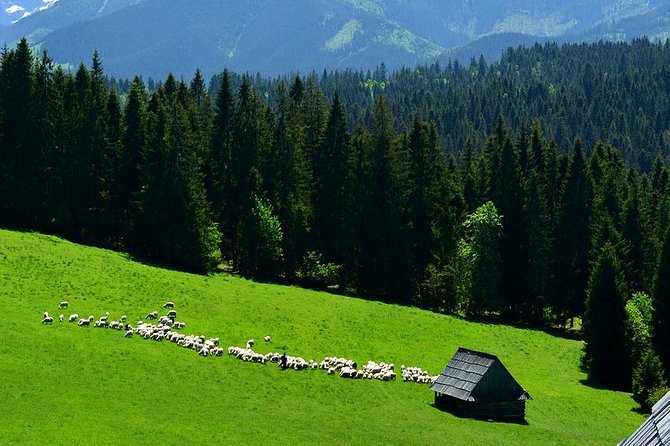 Zakopane Tour from Krakow – Highland Experience & Stunning Views - From Krakow to Chocholow’s wooden houses
