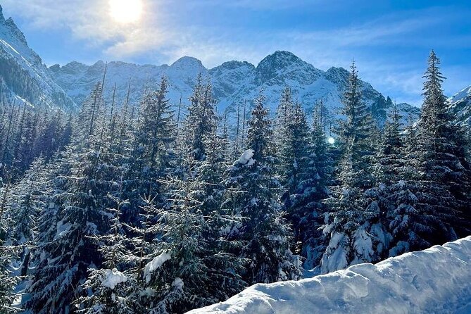 Zakopane Tour from Krakow with Thermal SPA and Hotel Pick up - The guide and group experience